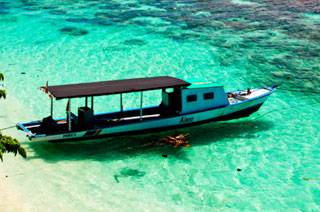Murex Bangka - Indonesia Dive Resorts - Dive Discovery Indonesia