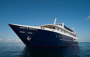 New White Manta - Indonesia Liveaboards - Dive Discovery Indonesia