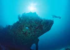 Ocean Hunter Liveaboard