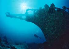 Ocean Hunter Liveaboard
