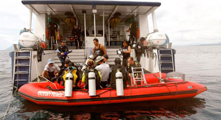 Ocean Rover  - Indonesia Liveaboards - Dive Discovery Indonesia
