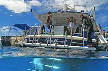 Ocean Hunter II Live Aboard in Palau