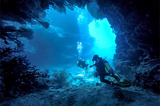 Diving - Papageno Resort - Fiji Dive Resorts
