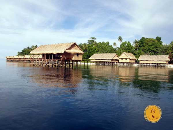 PapuaParadise EcoResort