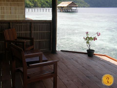 PapuaParadise EcoResort