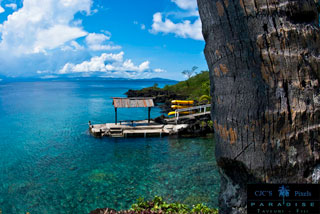 Paradise Taveuni - Fiji Dive Resorts - Dive Discovery Fiji Islands