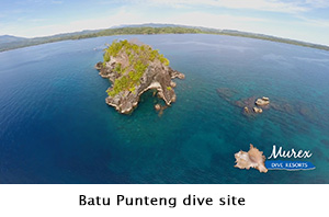 Batu Punteng dive site