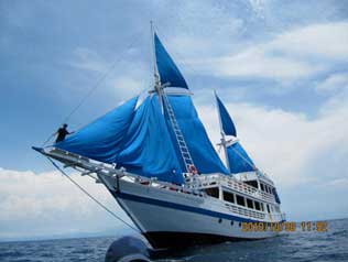 The KLM Pearl of Papua - Indonesia Liveaboards - Dive Discovery Indonesia