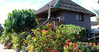 Garden Bungalow - Pension Havaiki Lodge - Dive resort in Fakarava North in Tahiti