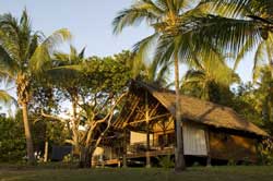 Mafia Island Diving - Tanzania Diving - Dive Discovery Africa