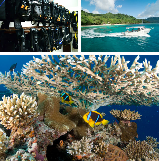 Qamea Beach Resort - Fiji Dive Resorts - Dive Discovery Fiji Islands