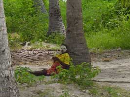 NORTHERN MOZAMBIQUE DIVING (QUIRIMBA ARCHIPELAGO)
