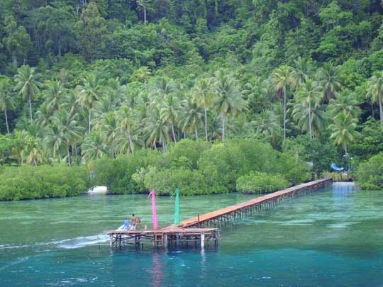 Raja Ampat Dive Lodge