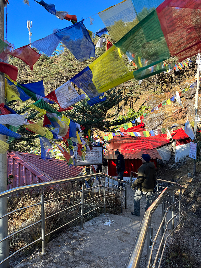 Prayer flags - and wildlife expedition in Nepal & India, November 14-Dec 1 2023 Trip Report