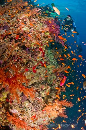 Ancient Egypt, Red Sea Diving, Jordan ~ September 30-October 15/18 2011