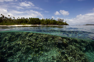 Reef Resort - Tonga Dive Resorts - Dive Discovery Tonga
