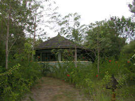 Angel Island Bidadari - Reefseekers Diving & Accommodation in Komodo National Park