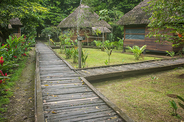Bungalows - Sani Lodge - Ecuador Resorts & Eco Lodges