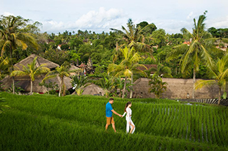 Walking in the ricefield - Santi Mandala Villas & Spa - Resorts in Bali