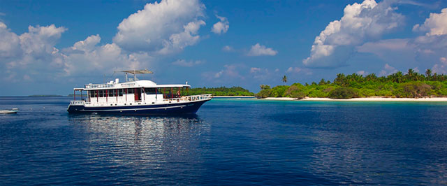 MV Sea Queen - Maldives Liveaboards - Dive Discovery Maldives