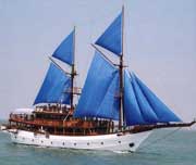 Sea Safari VIII - Indonesia Liveaboards - Dive Discovery Indonesia