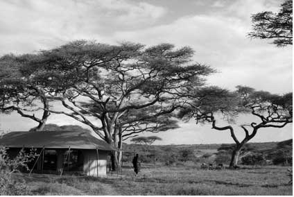 Best of Tanzania ~ 10 nights, August/Sept or October 2012