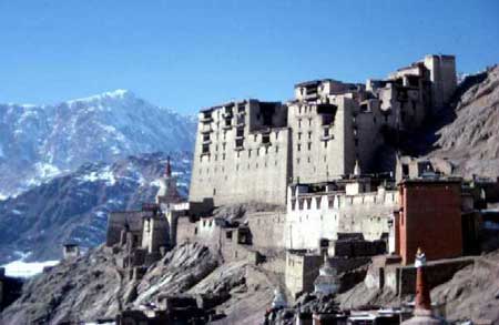 Snow Leopard Trek, Himalayas Group Trip