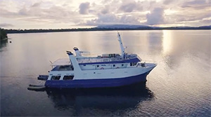 Solomons PNG Master - Solomon Islands Liveaboards - Dive Discovery Solomon Islands