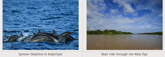Sri Lanka travel destinations - Spinner Dolphins in Kalpitiyia - Boat ride through the Kala Oya