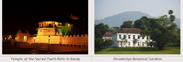Sri Lanka travel destinations - Temple of the Sacred Tooth Relic in Kandy - Peradeniya Botanical Gardens