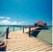 Pemba Diving - Tanzania Diving - Dive Discovery Africa
