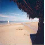Pemba Diving - Tanzania Diving - Dive Discovery Africa