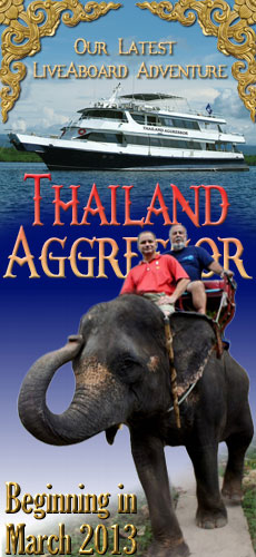Thailand Aggressor - Thailand Liveaboards - Dive Discovery Thailand