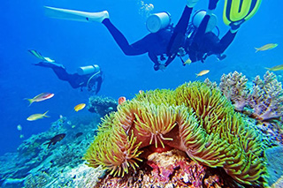 Dive coral reef - Thanda Island - Tanzania Dive Resorts