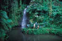 Photos courtesy of Tahiti Tourisme