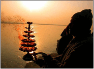 Tigers and Temples India Tours - Dive Discovery