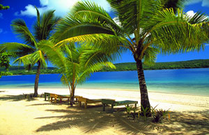 Tongan Beach Resort - Tonga Dive Resorts - Dive Discovery Tonga