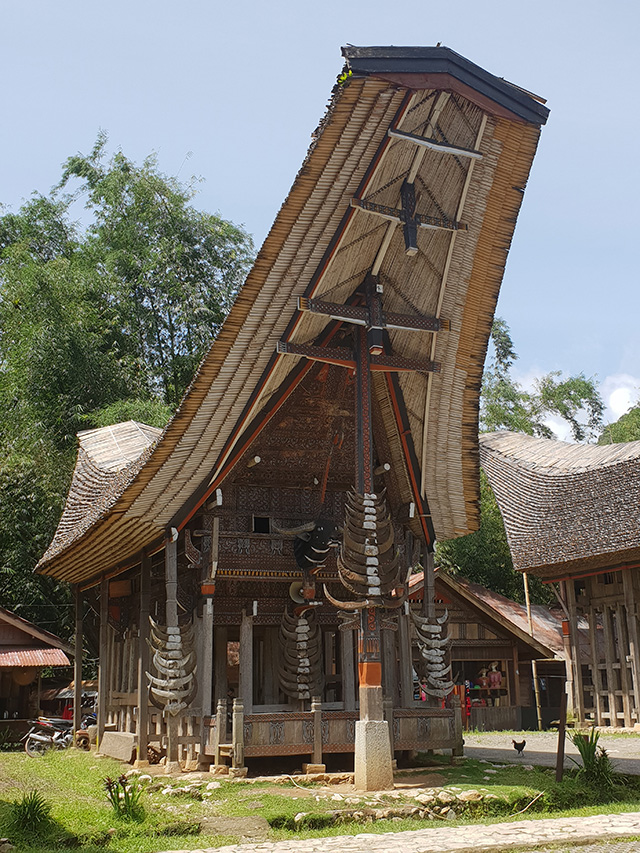 Tongkonan Houses - Toraja Tour, 4 Days - Indonesia Cultural Tours - Dive Discovery Indonesia