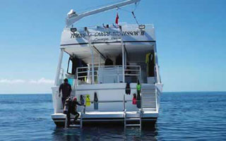 Turks & Caicos Aggressor II - Dominican Republic Liveaboards - Dive Discovery Dominican Republic