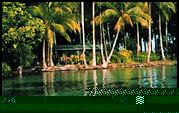 Uepi Island Dive Shop