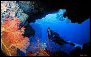 Uepi Island Diving