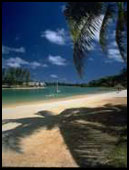 Vanuatu BEach