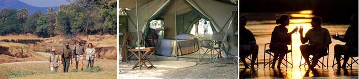 Walking Mobile Safaris