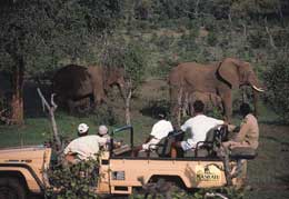 Cycle Safari in Africa