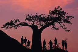 Cycle Safari in Africa