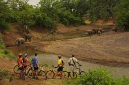 Cycle Safari in Africa