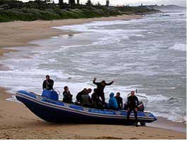 Sardine Run Dive Tours in Africa