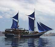 Cheng Ho - Indonesia Liveaboards - Dive Discovery Indonesia
