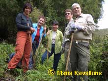 Africa Safaris and Tours