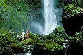Waterfall at Cocos Island